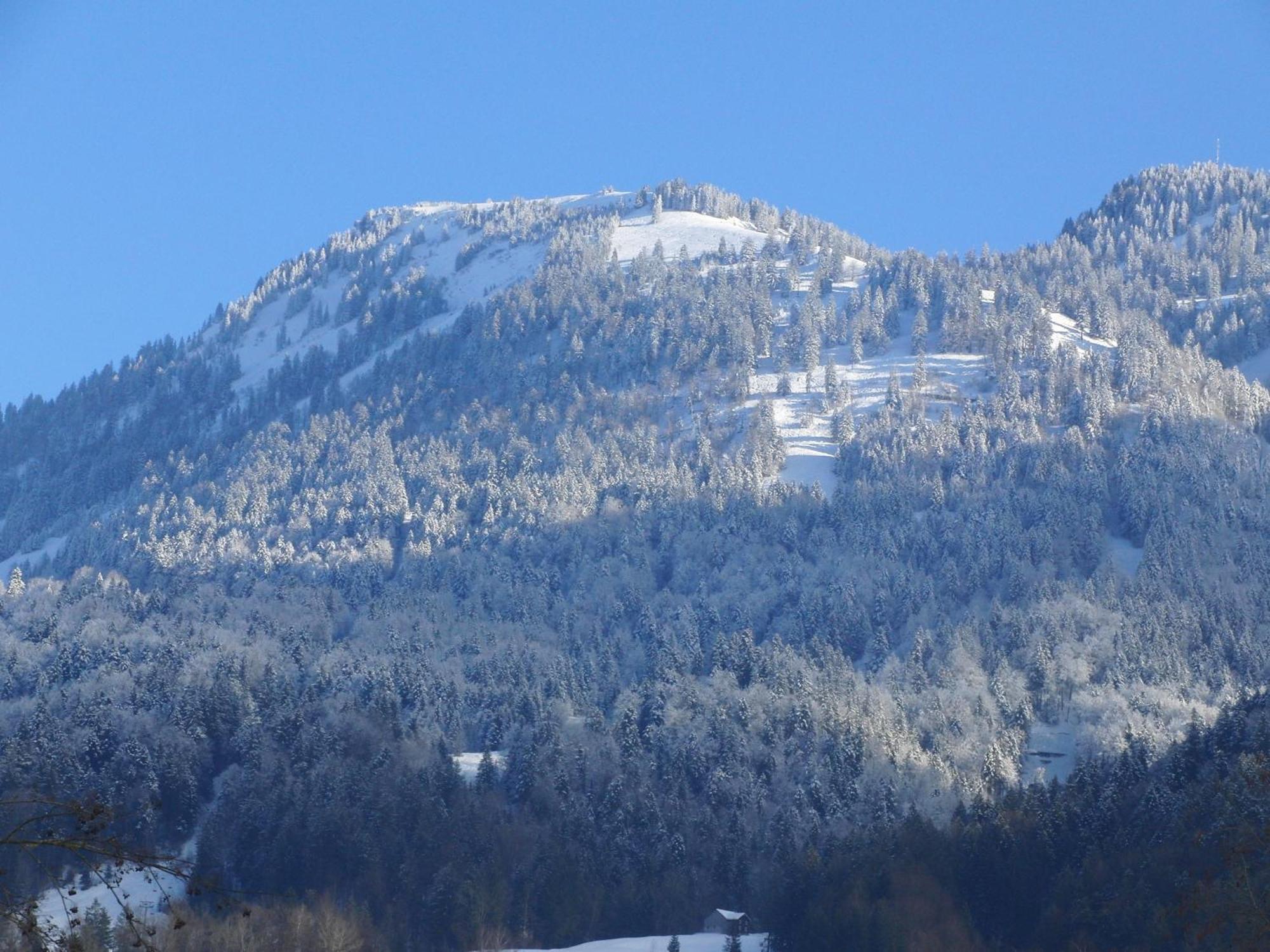 Gaestehaus-Pension Barbara Andelsbuch Kültér fotó